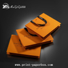 Luxury Specialty Paper Handbag