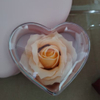 Heart-shaped Jewelry Box